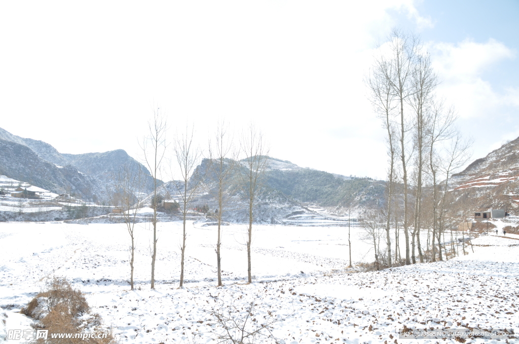 乡村雪景