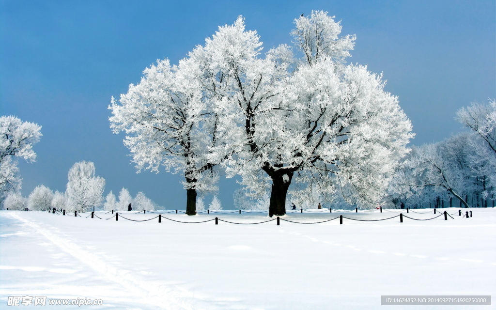 雪景