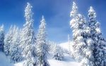 雪景