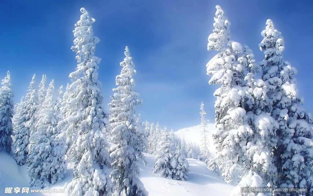 雪景