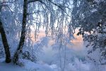 雪景