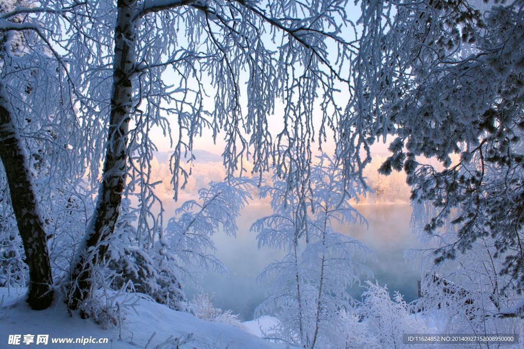 雪景