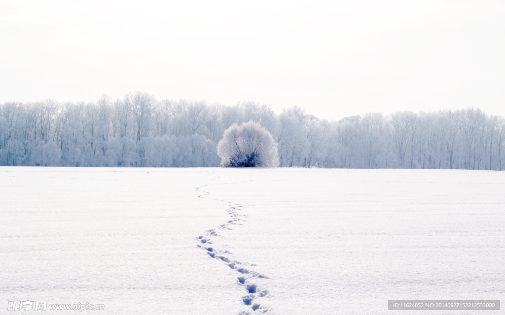 雪景