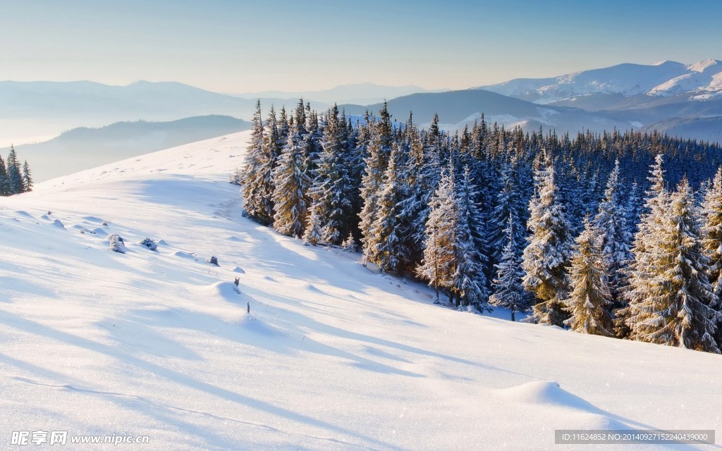 雪景