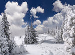 雪景