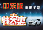 邦驰名车 车顶牌