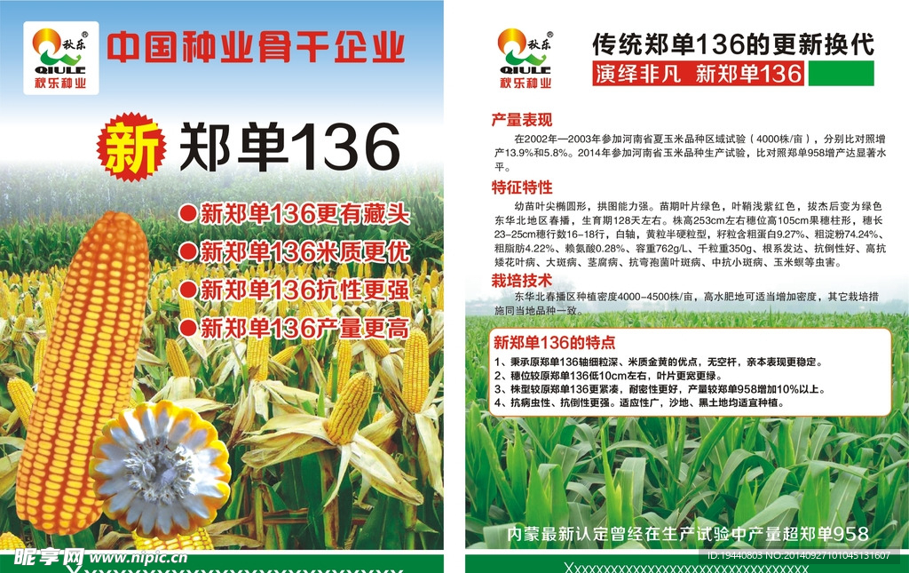 种子传单