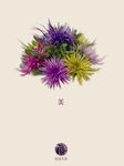 花
