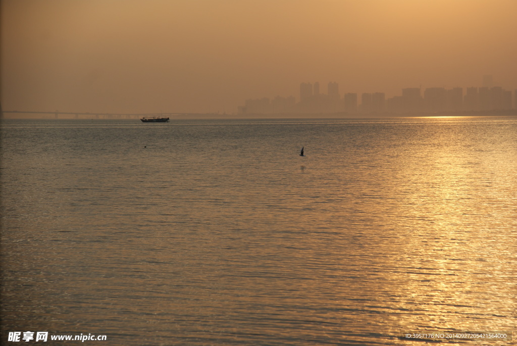 夕阳下的深圳湾海面