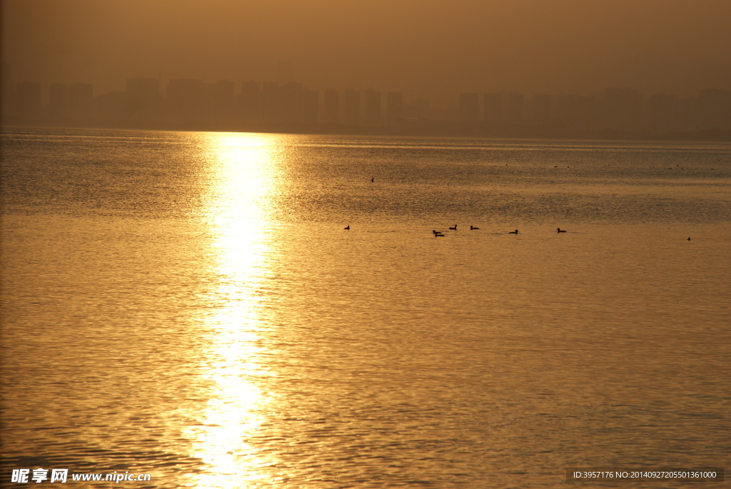 夕阳下的深圳湾海面