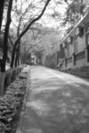 厦门风光