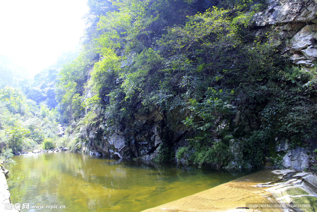 青山绿水