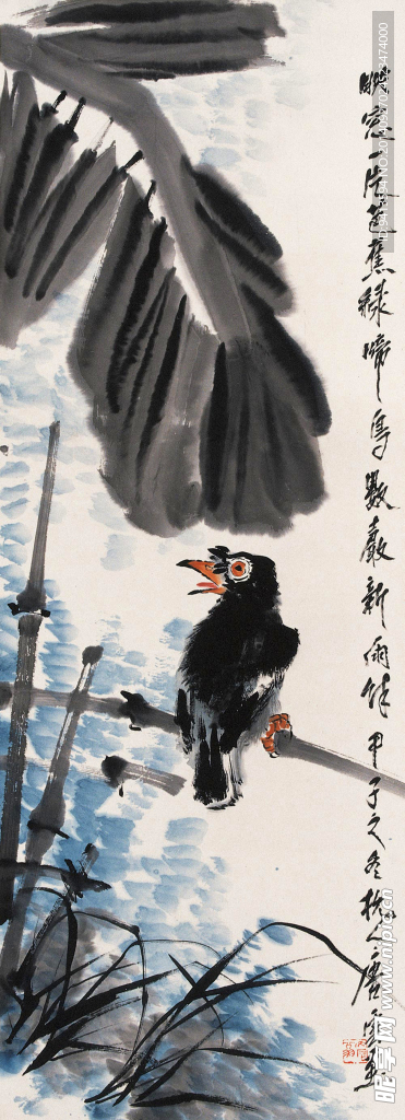 芭蕉鸣鸟