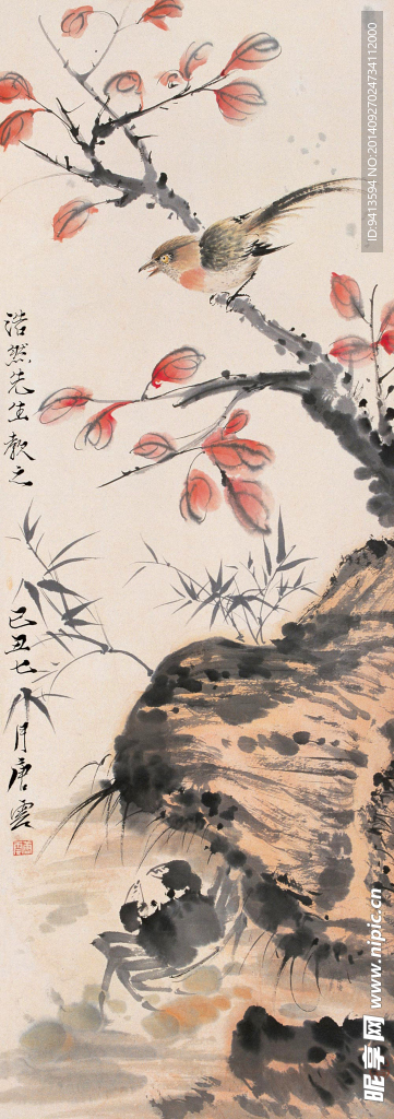 红叶翠鸟