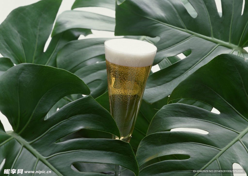 啤酒
