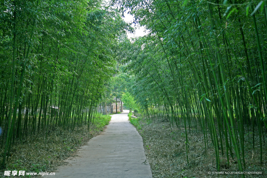 何家冲景观