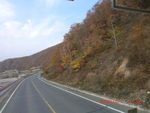 秋天公路