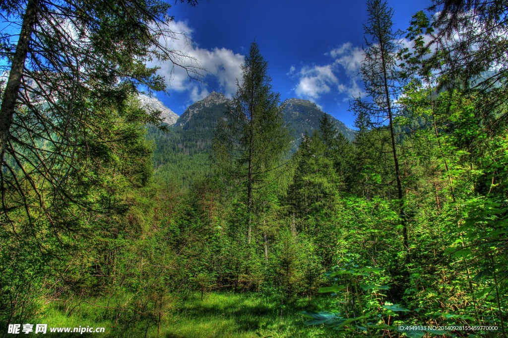 自然风景