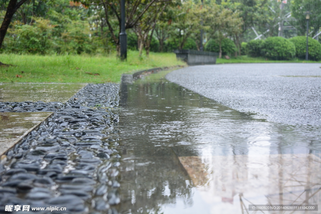 雨中的园路