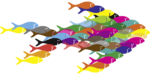 好多鱼矢量图