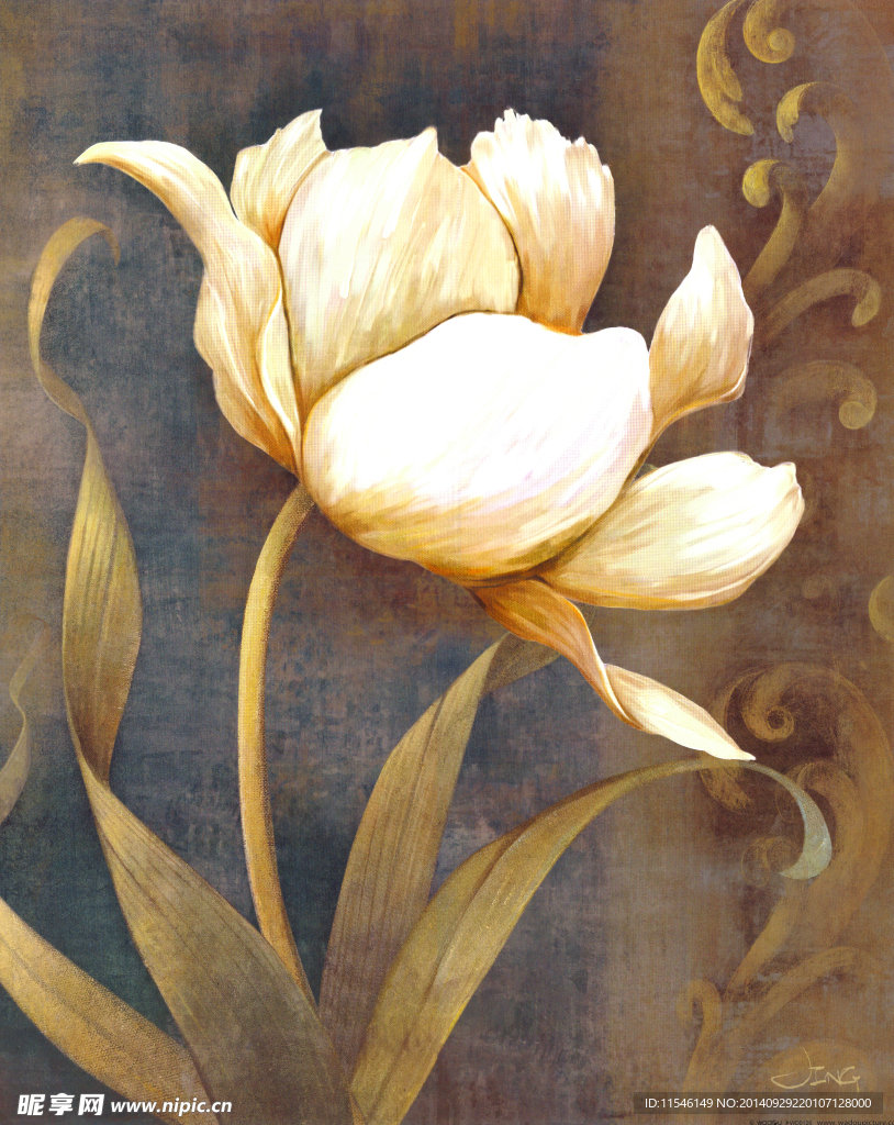 白色的花朵油画