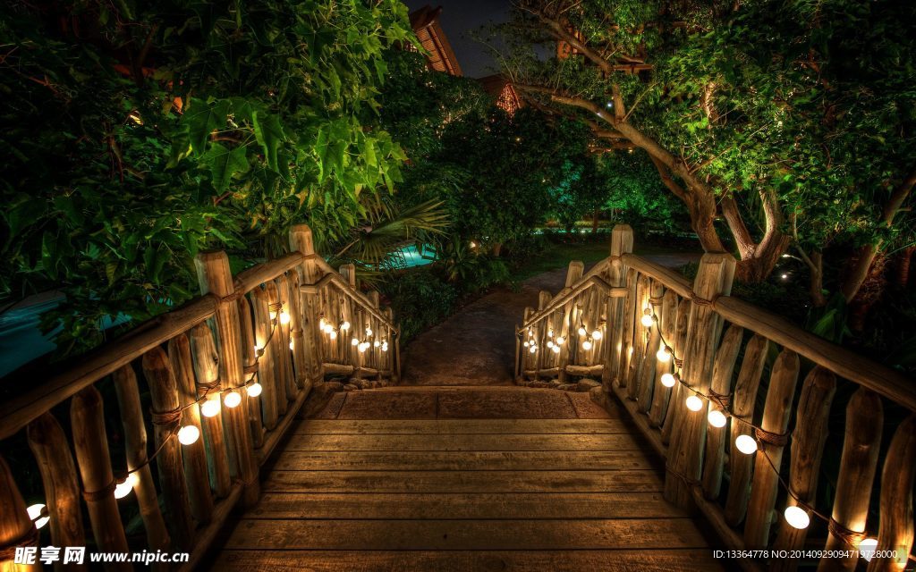 夜晚的花园
