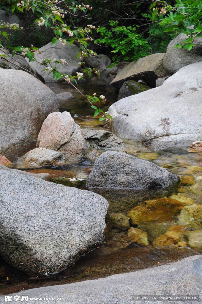 小溪流水