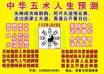 算命
