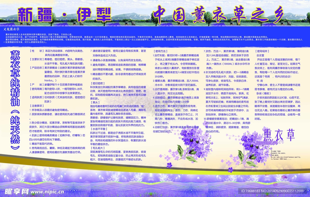 薰衣草