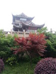 无锡风景