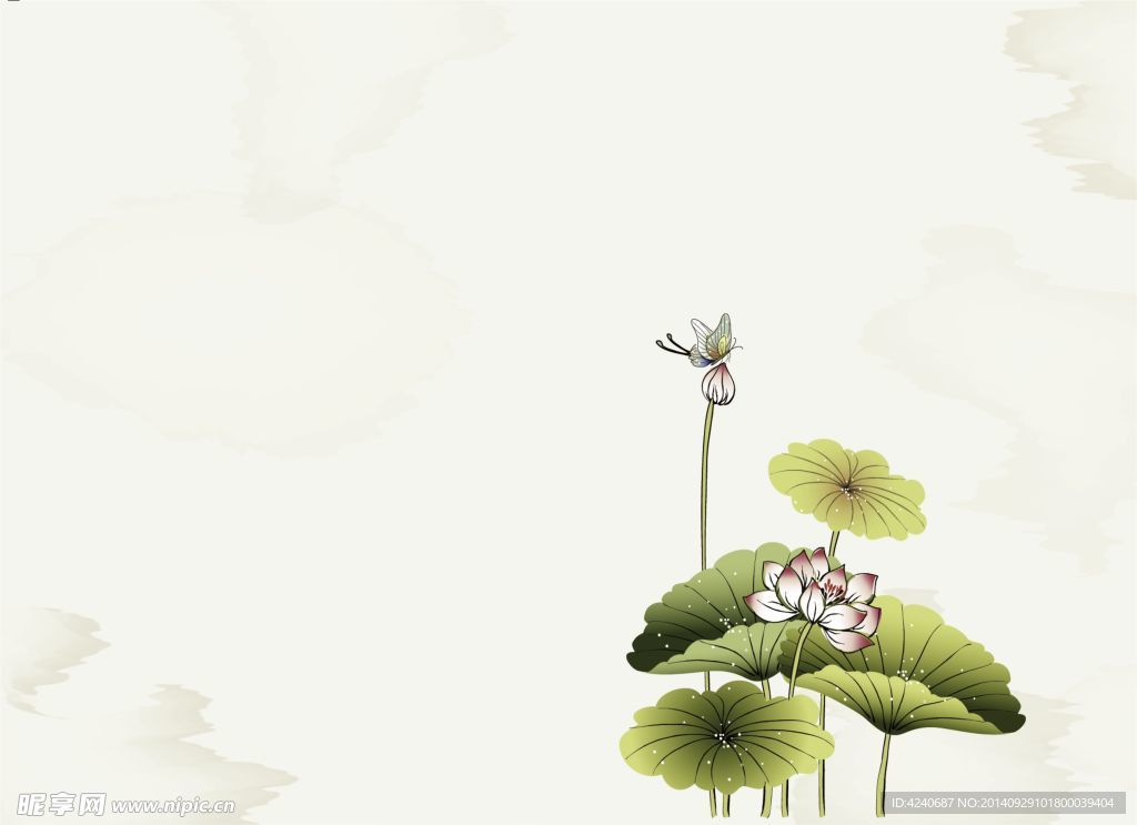 荷花背景
