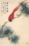 古松长寿