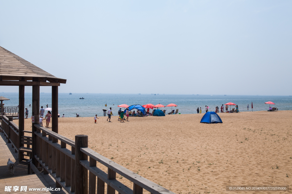 黄金海岸
