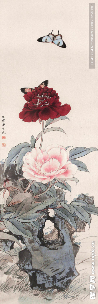 牡丹蝴蝶