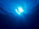 海底世界