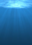 海底阳光