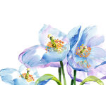 蓝色水墨花朵花卉