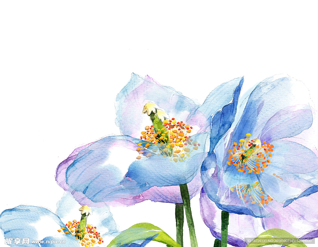 蓝色水墨花朵花卉