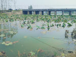 湖水
