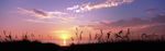 海岸线上的夕阳