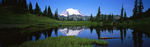 青山绿水