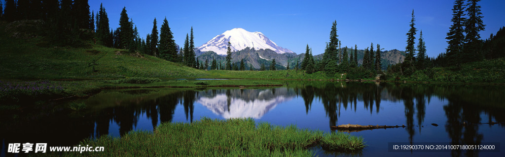 青山绿水