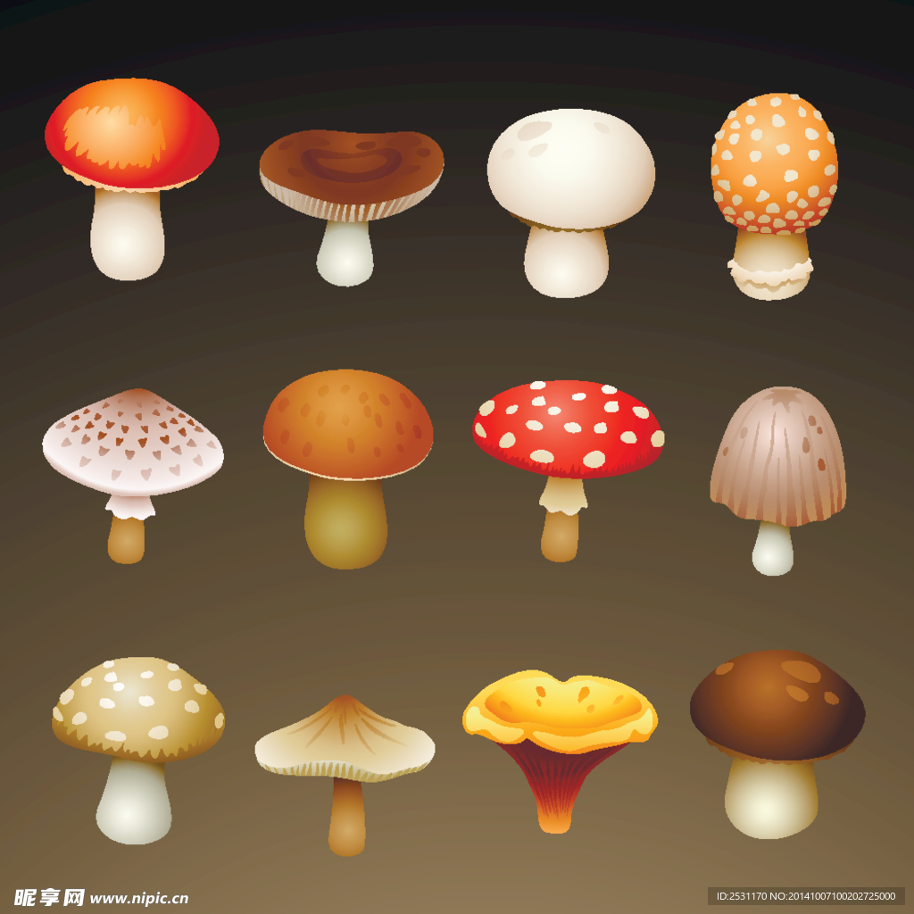 蘑菇