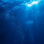 海水