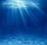 海水