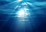 海水