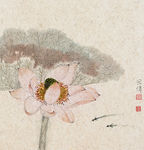 荷 绘画