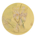 玉兰花