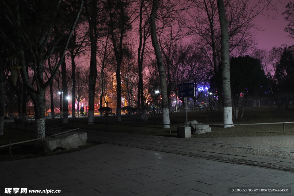 树林夜景