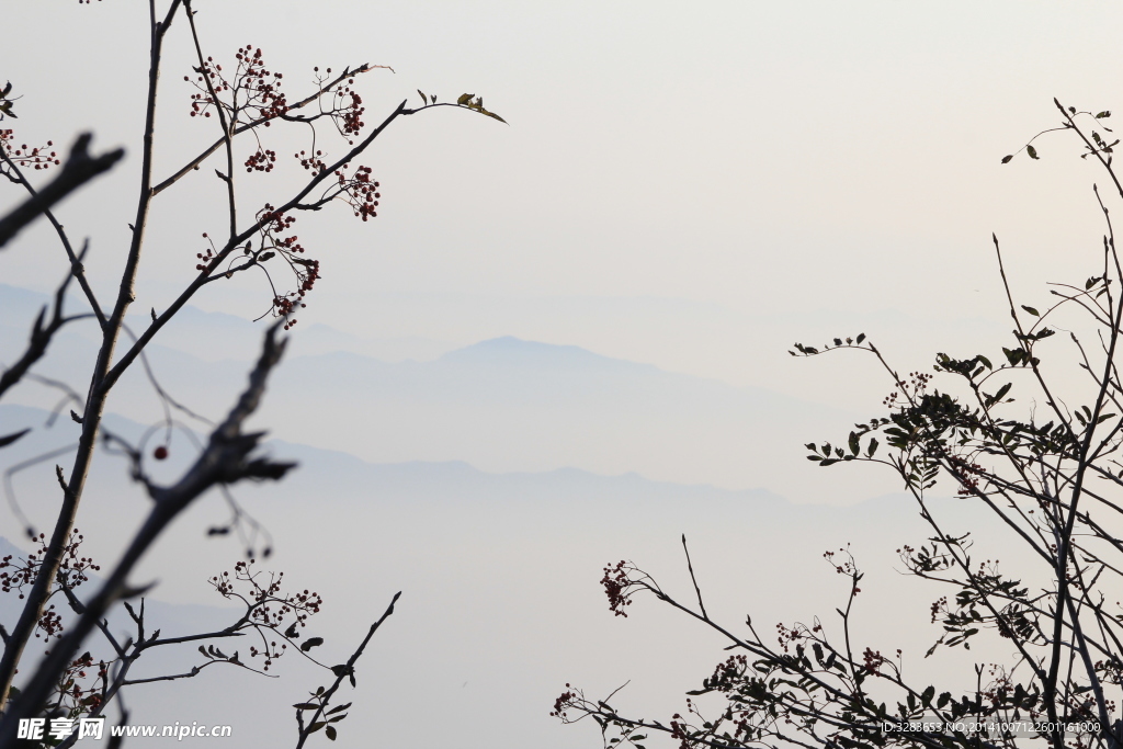 泰山云海
